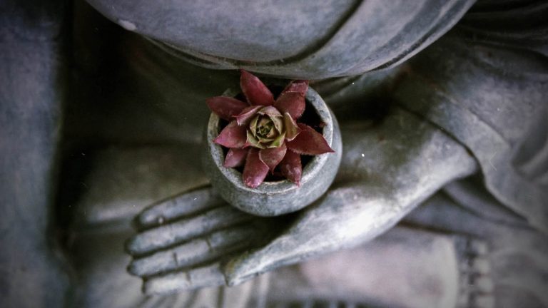 Events Central Coast Meditation Centre Events Central Coast Meditation Centre